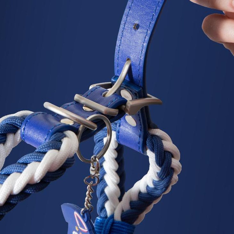 France FFF Pet Woven Collar
